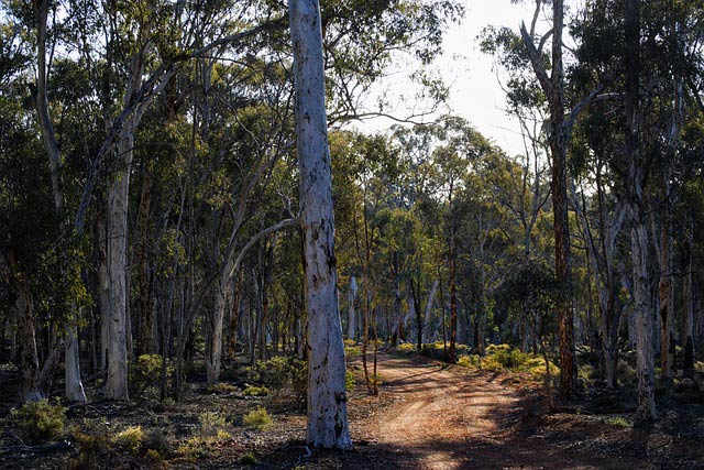 Australian-bush-outback-pod-tiny-home
